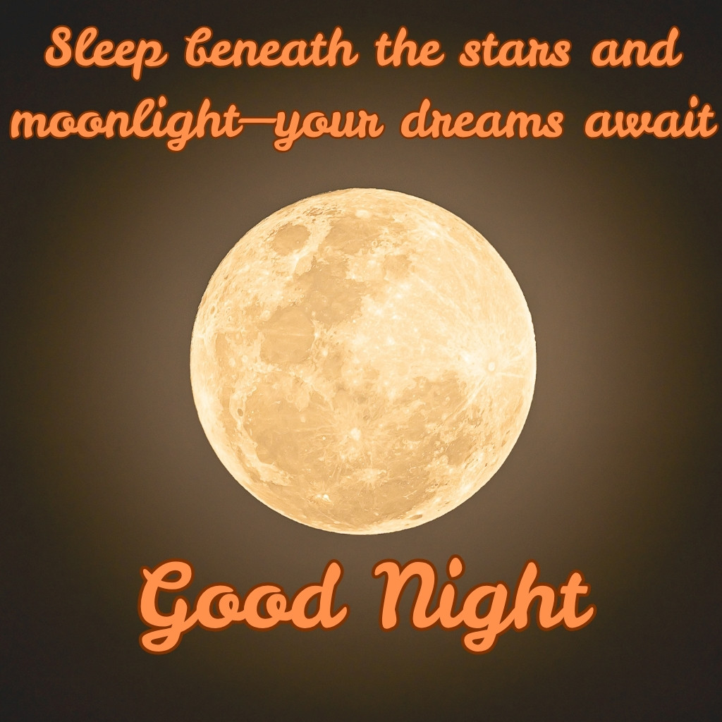 Good Night Images With Moon 08 | Good Night Images With Moon quotes and wishes