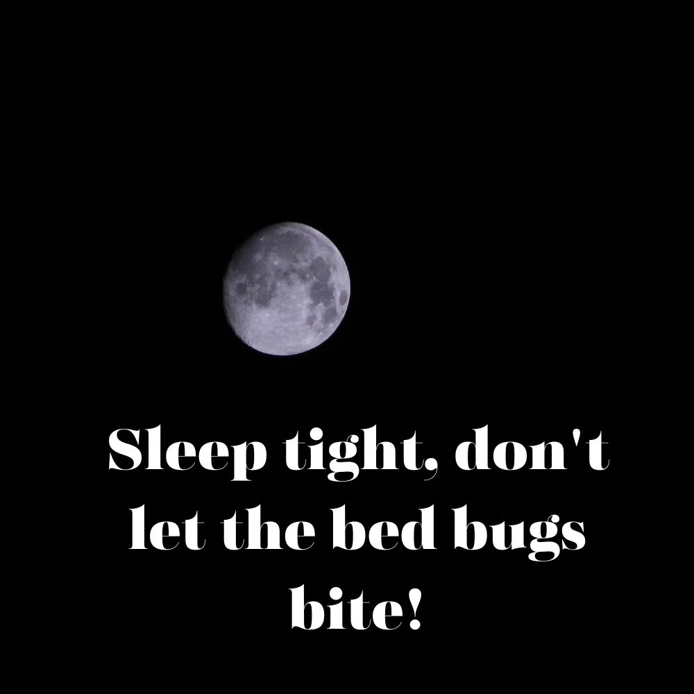Good Night Images With Quotes | Good Night Images With Quotes quotes and wishes