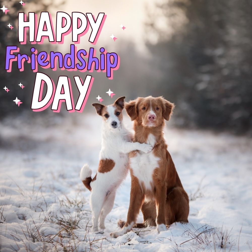 Happy Friendship Day Images | Happy Friendship Day Images quotes and wishes