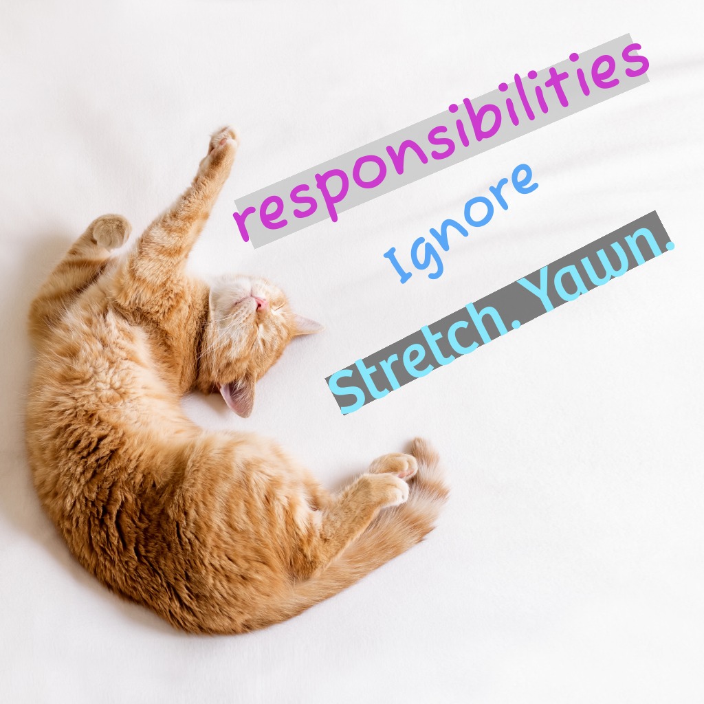 Morning Stretch Cat