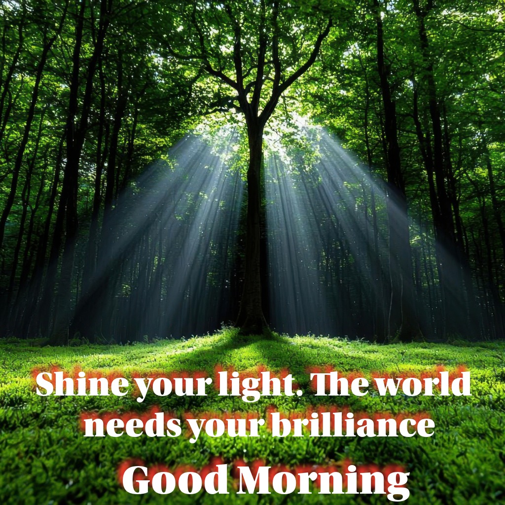 Sunlight streaming through trees in a forest | Good Morning Images 2026 quotes and wishes
